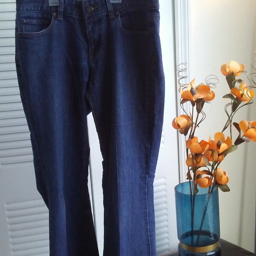 Blue Jeans Ann Taylor Loft Curvy Flare Leg